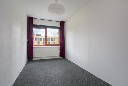 Aalscholverstraat - Photo 3