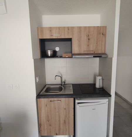 Location Appartement 1 pièce 23m² CASTANET TOLOSAN 31320 - Photo 3