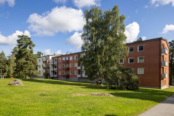 Rånäsvägen, Rimbo - Foto 1