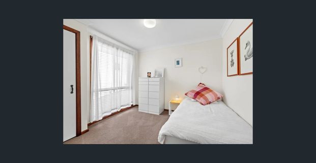 64 Higginbotham Road, Gladesville, NSW 2111 - Photo 1