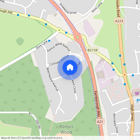 Cleave Avenue, Orpington BR6