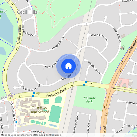 42A Gabriella Ave, NSW 2171, Cecil Hills