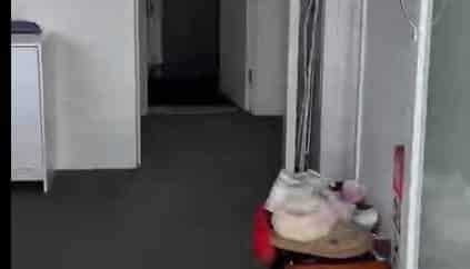 2BR Belmont Apartment! - Photo 4