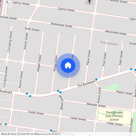 9 Larch Street, Vic 3074, Thomastown