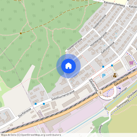 Hombergerstrasse 77, Olten