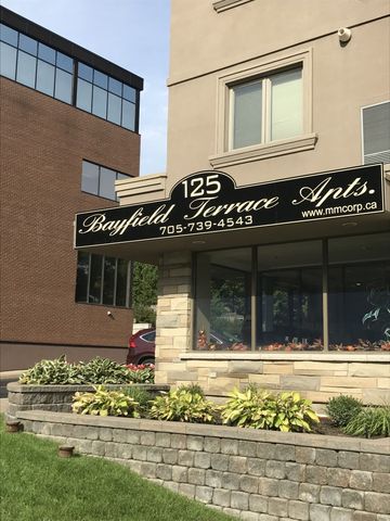 125 Bayfield Street, Barrie - Photo 2