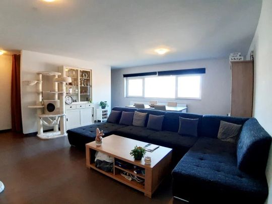 Moderne rijwoning te Zonhoven - Photo 1