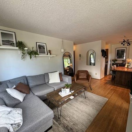 Kitsilano, 2 Bed,1 Bath, Garden Level, Hardwood Flrs - Photo 4