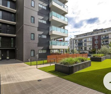 162/8 Limburg Way,Greenway - Photo 4