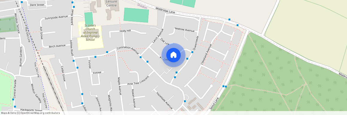 Lime Grove, Shildon