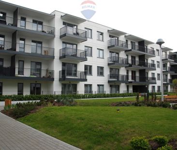 Warszawa, Wilanów, Aleksandra Gieysztora - Zdjęcie 2