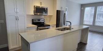 Modern Upscale Living at Central Park - North Village - Photo 2