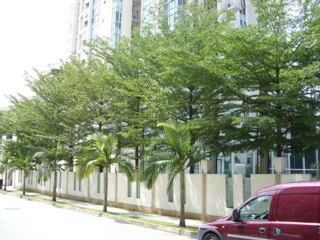 Emery Point (D15), Apartment - For Rent - Photo 5
