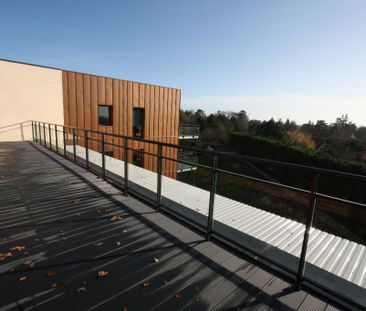 Appartement T3 à louer à SAINT JEAN DE BRAYE - Photo 6