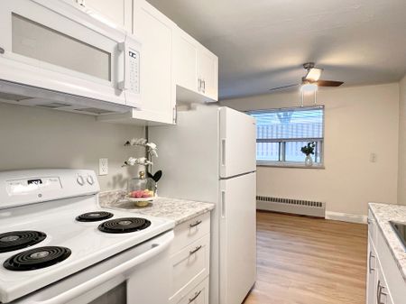 Driftwood Apartments - ALL INCLUSIVE - Photo 5