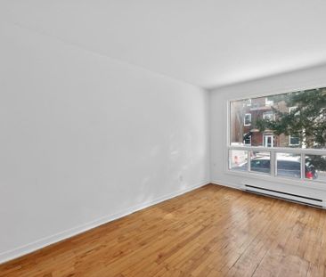 Appartement à louer - Montréal (Rosemont/La Petite-Patrie) (La Peti... - Photo 5