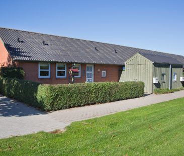 Julsøparken - Photo 1