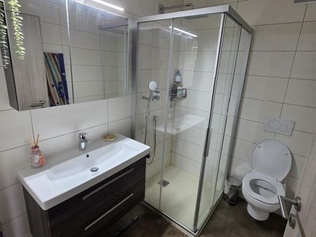 MASSONGEX - APPARTEMENT - Photo 5