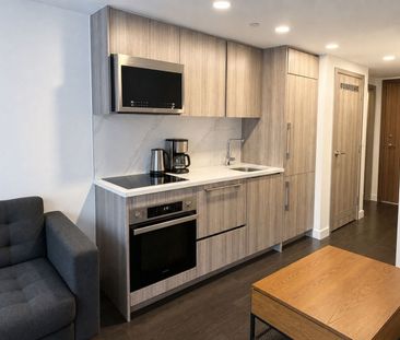 For Lease - 38 Widmer Street Unit# 803, Toronto, Ontario - Photo 4