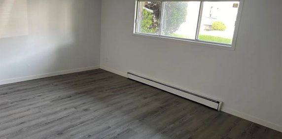 (Hull) Beau Studio - Photo 2