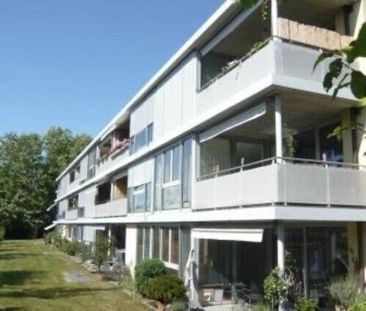 Superb apartment in the 3 lakes region - Foto 1