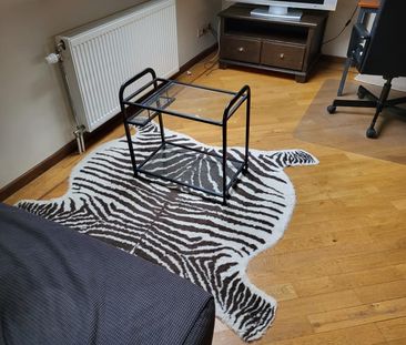 Duplex te huur - Photo 3