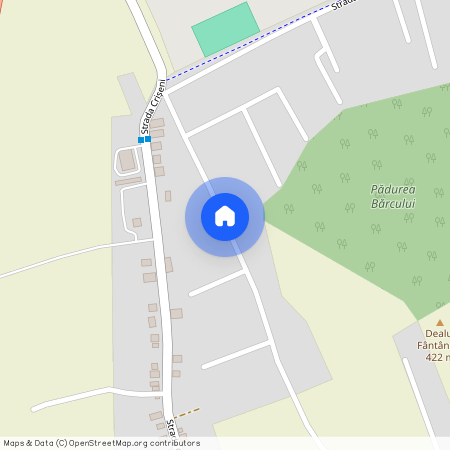 Strada Trandafirilor, Dezmir, Apahida, Zona Metropolitană Cluj, Cluj, 407039, România