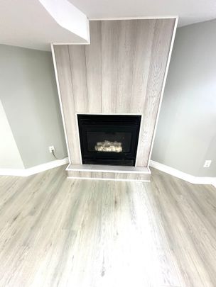 For Lease - 437 Charlotte Street Unit# Lower, London East, Ontario - Photo 1