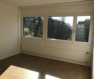 SPACIEUX LOGEMENT RENOVE RECEMMENT - Foto 5