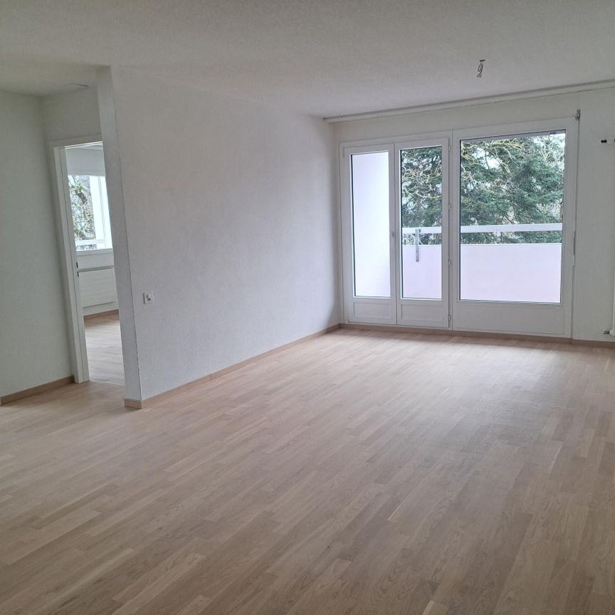 RENOVATED APARTMENT WITH BALCONY AND ELEVATOR - Foto 1