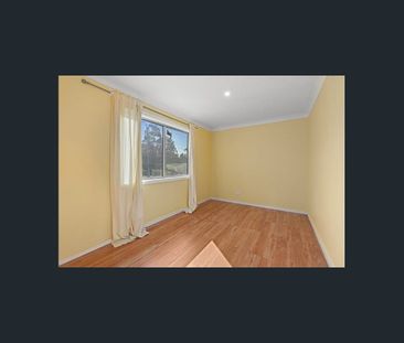 Cute as a button - Photo 1