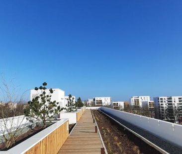 Location Appartement 3 pièces 58m² TOULOUSE 31400 - Photo 4