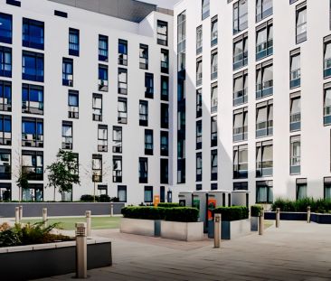 Silver Studio Premium - Photo 6