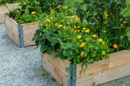 Öster Mälarstrands allé, Västerås - Foto 5