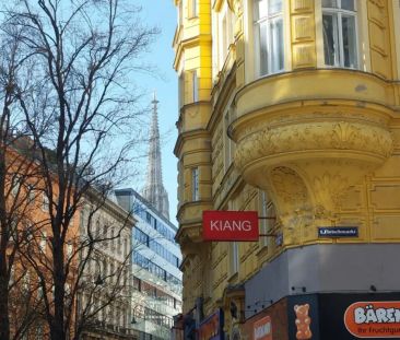 ROTENTURMSTRASSE - KLIMAANLAGE - UNBEFRISTET - Photo 6