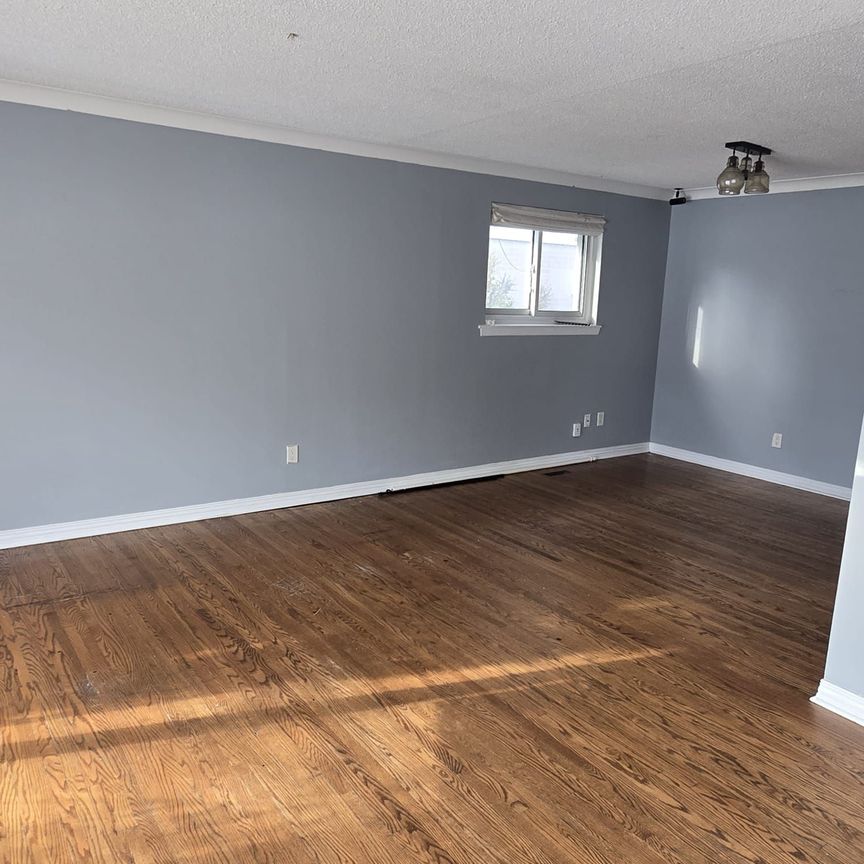 For Lease - 43 Braemar Drive, Brampton, Ontario - Photo 1