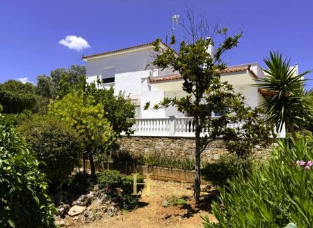 Μονοκατοικία για ενοικίαση Πόρτο Ράφτη (Μαρκόπουλο) - Φωτογραφία 3