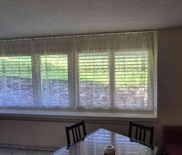 1 Zimmer, 25 m², EG - Foto 3