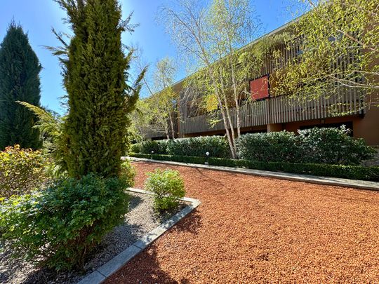 Location appartement 3 pièces, 71.03m², Grabels - Photo 1