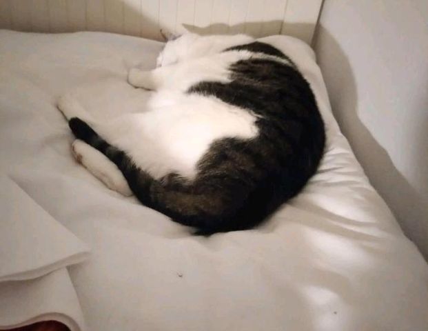 Zimmer zu vermieten - Photo 1