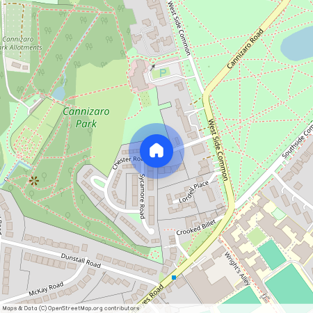 Chester Road, Wimbledon Village