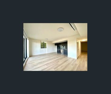 Timber Floor with Huge Huge 2nd Living area $780 PW - Photo 2