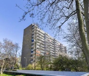 Adama van Scheltemaplein 0ong, 2624 PJ Delft, Nederland - Photo 1