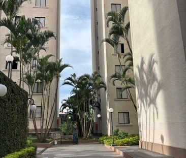 Apartamento, Vila Santa Catarina - São Paulo - Foto 4