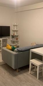 One Bedroom Apartment - Photo 3