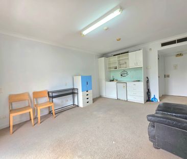 208/33 Bayswater Road, Potts Point NSW 2011 - Studio For Rent | Domain - Photo 3