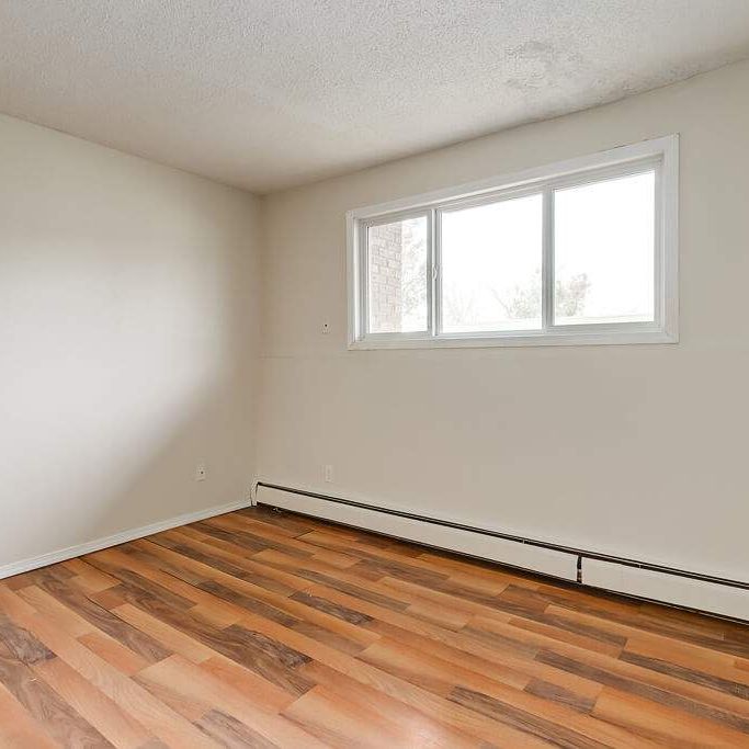 Renovated Suite - 1 Bedroom - Photo 1