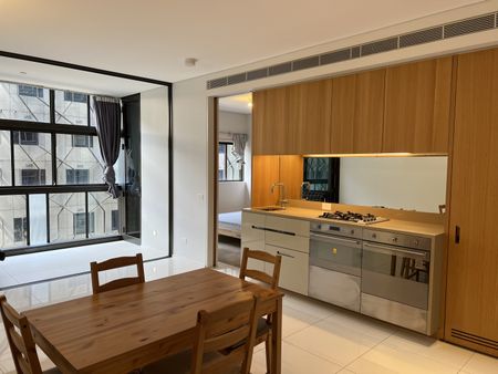 8 Park Lane, Chippendale NSW 2008 - Apartment For Rent | Domain - Photo 4