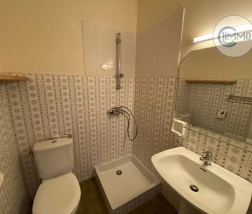 Location Appartement 1 pièce 21m² ST LAURENT DU VAR 06700 - Photo 6