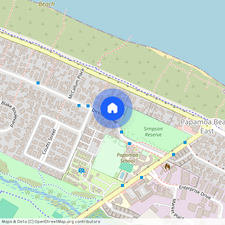 299 Dickson Road, Papamoa, Tauranga